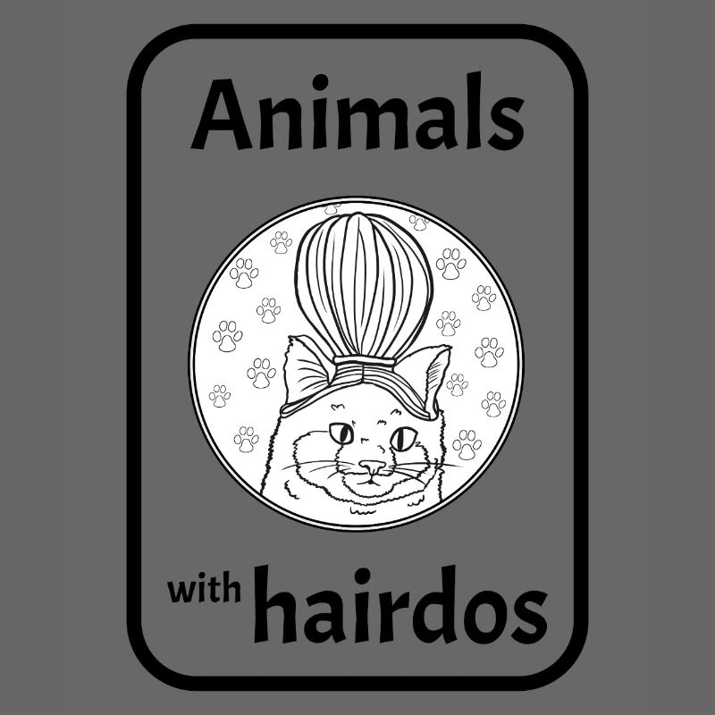 Chat avec coiffure