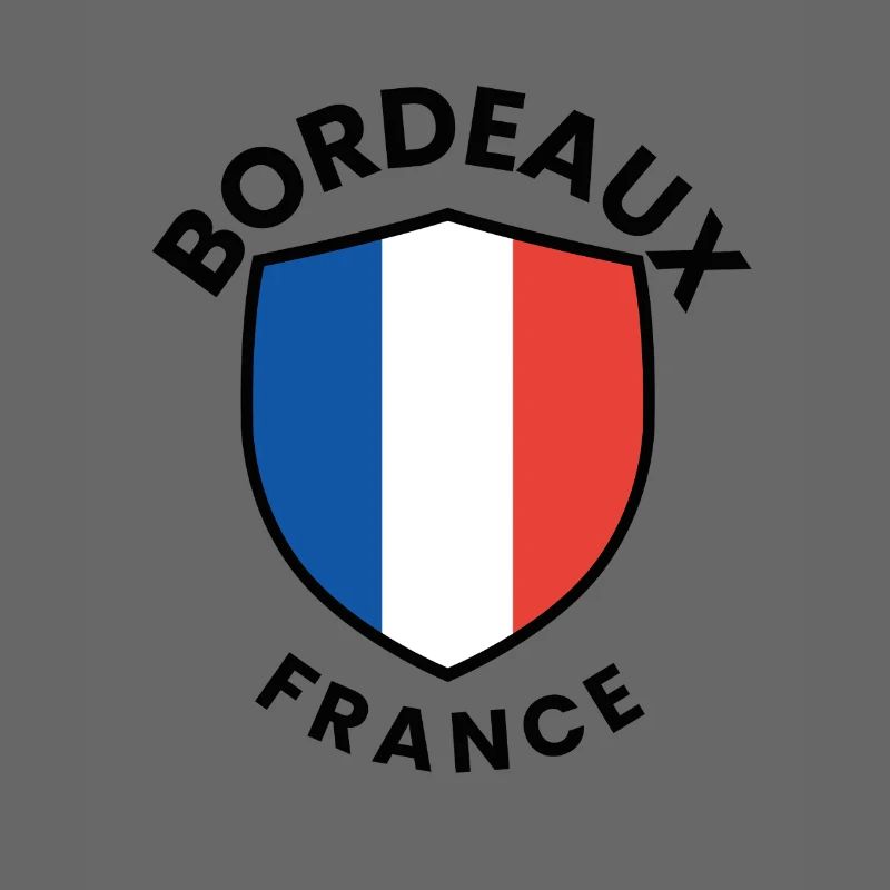 Conception du bouclier du drapeau français