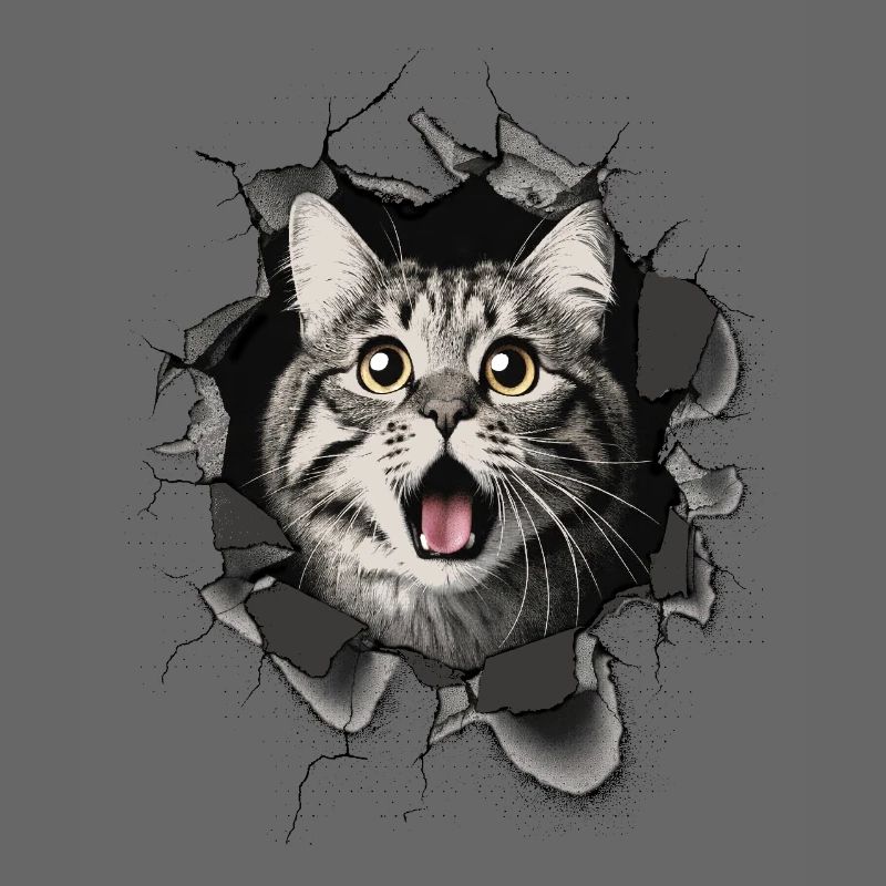 Katze erschrocken Mauer Durchbruch Risse 