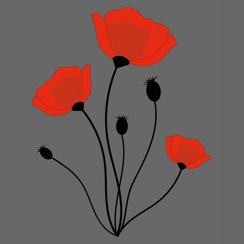 Mohnblume