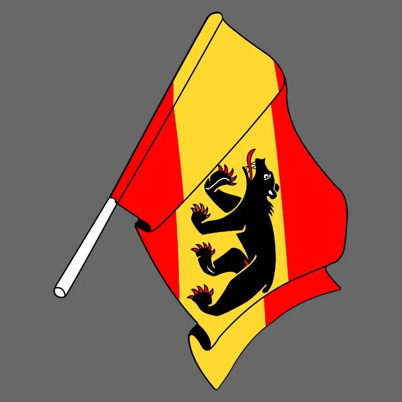 Drapeau Berne Suisse