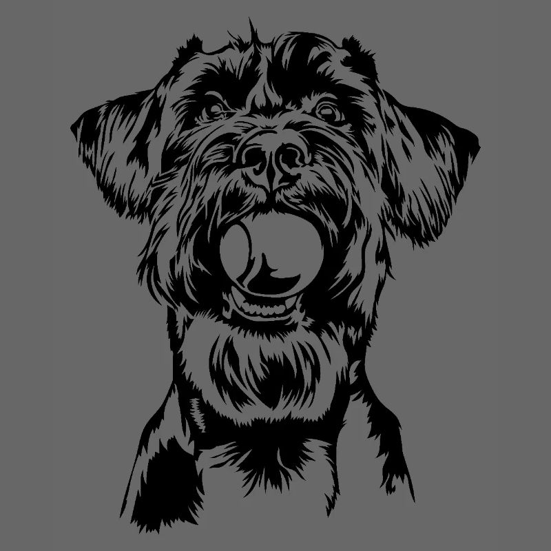 Schnauzer géant Schnauzer chien chien Wilsigns