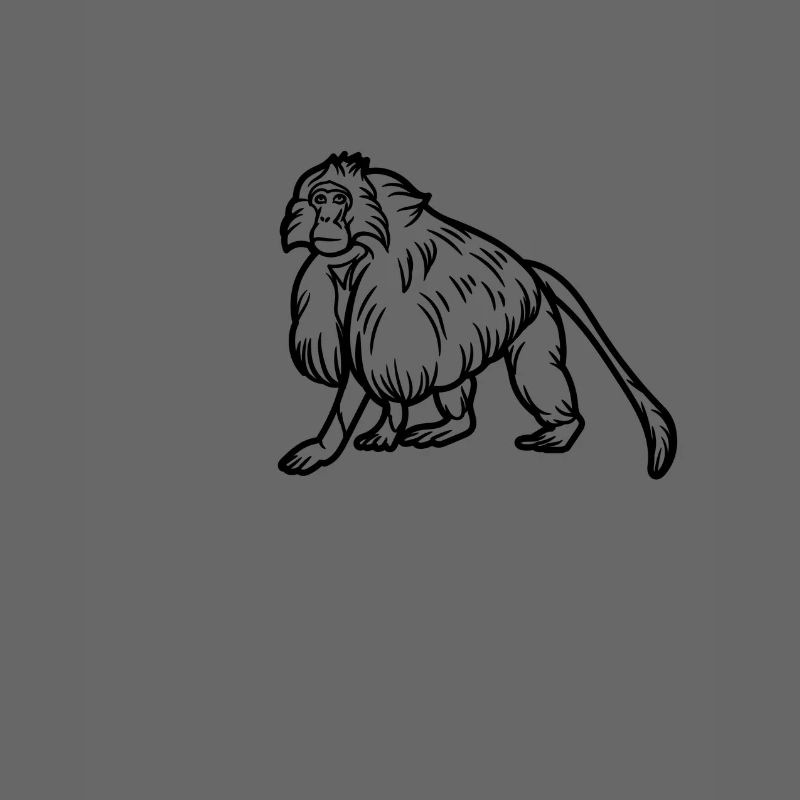 Gelada Monkey