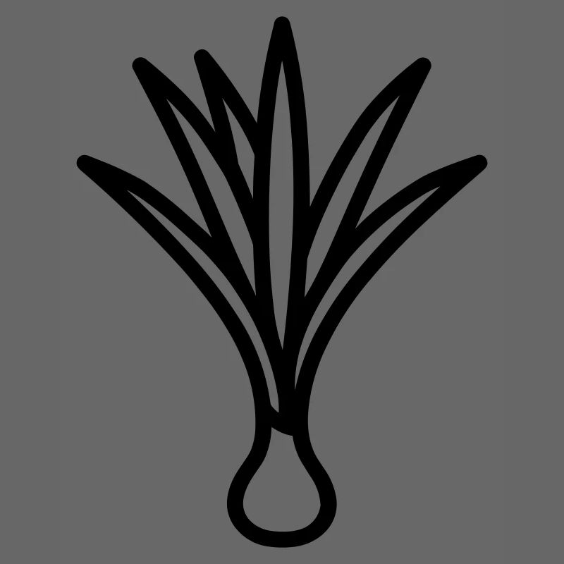leek