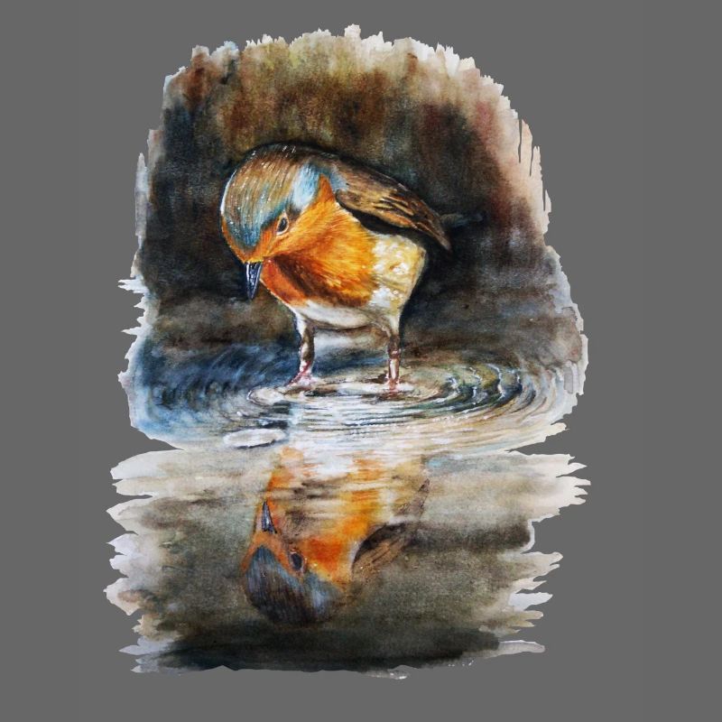 rouge-gorge