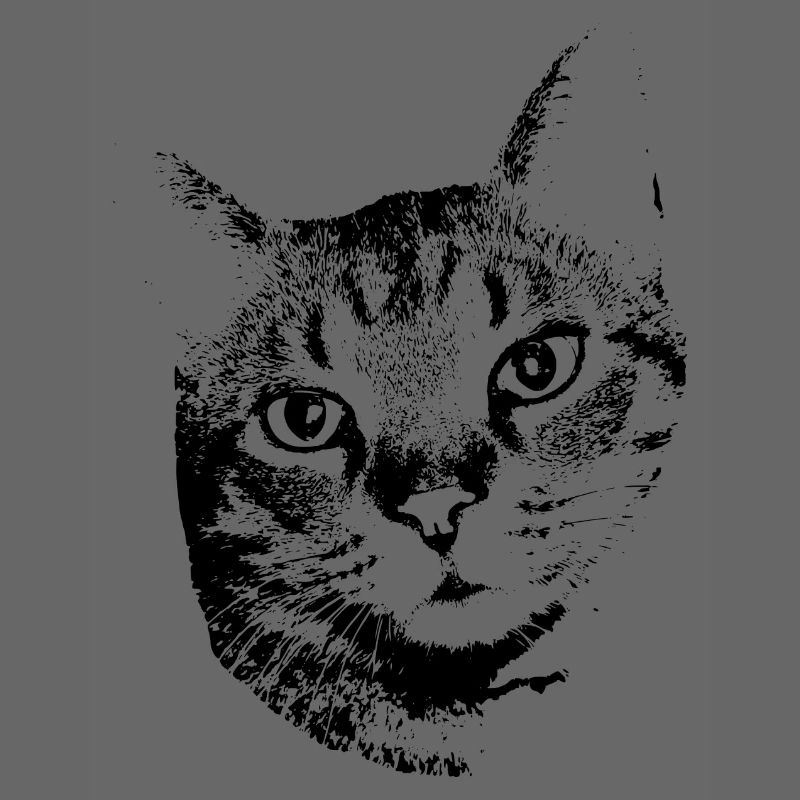 Chat Chat Chat Chat Chemise Cadeau