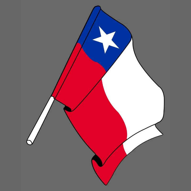 Flagge Chile