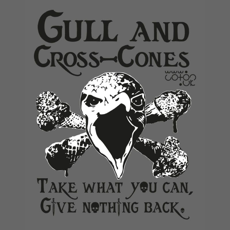Gull and Cross Cones - Beware the seagulls!
