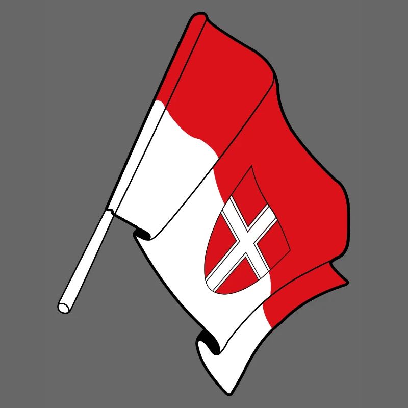 Drapeau du comté de Wien