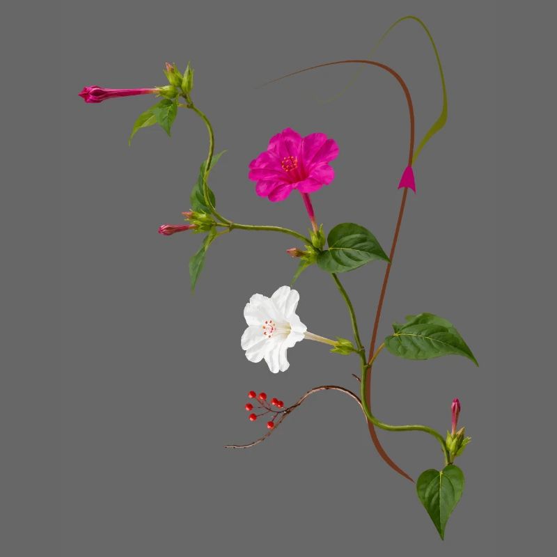 Fleur Miraculeuse Zen Blossoms Design