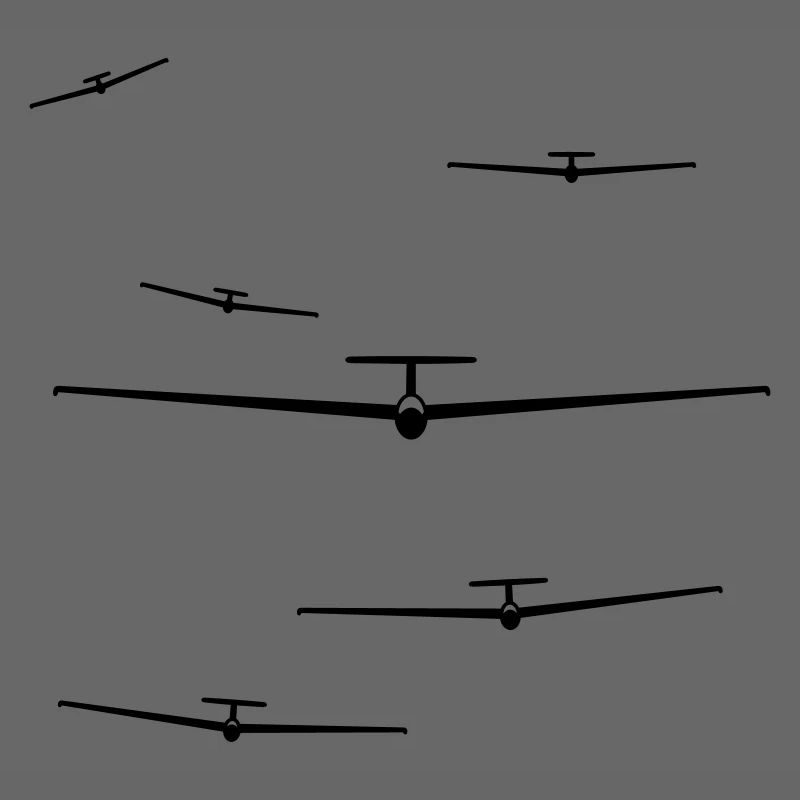 team gliding glider pilot