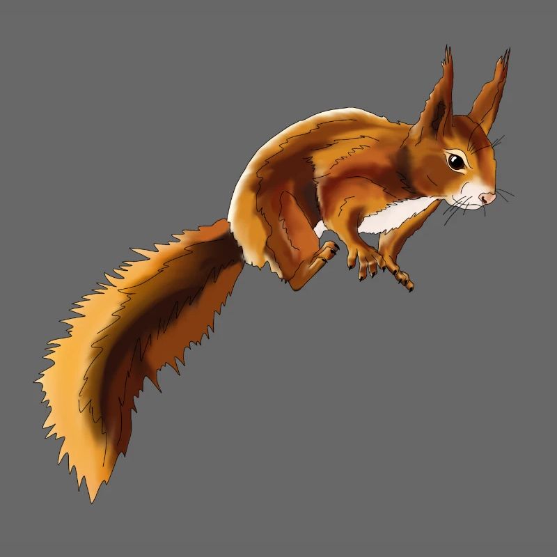 Eichhörnchen 1