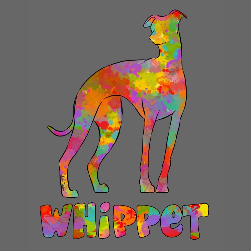 Whippet Multicolore 2
