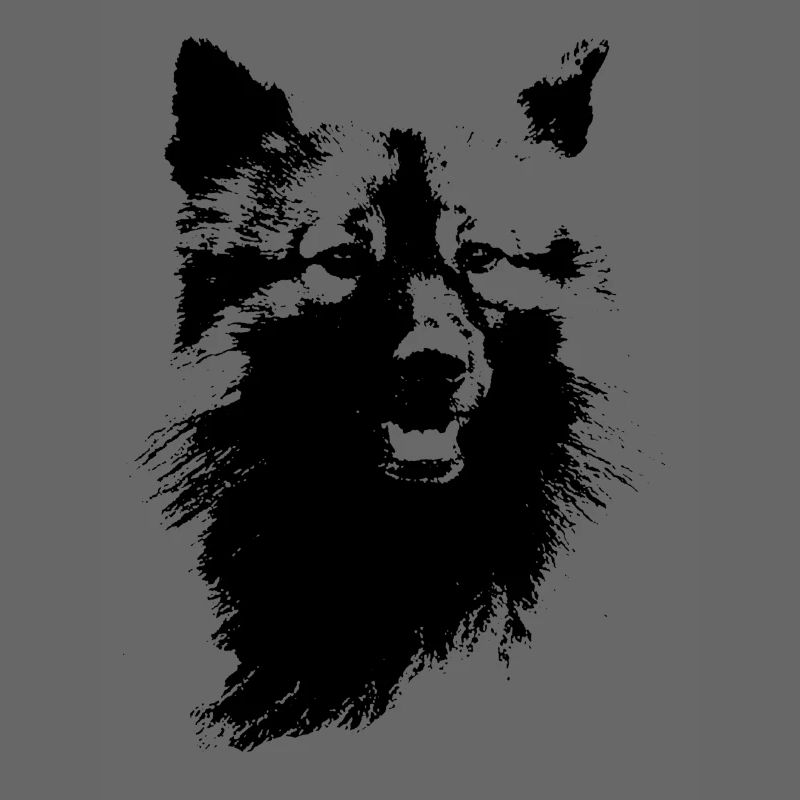 Wolfsspitz Kopf