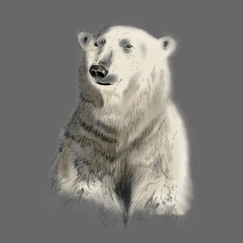ours blanc