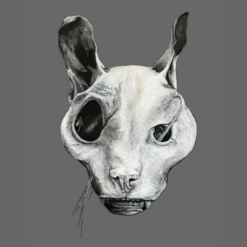 THE GHOST CAT