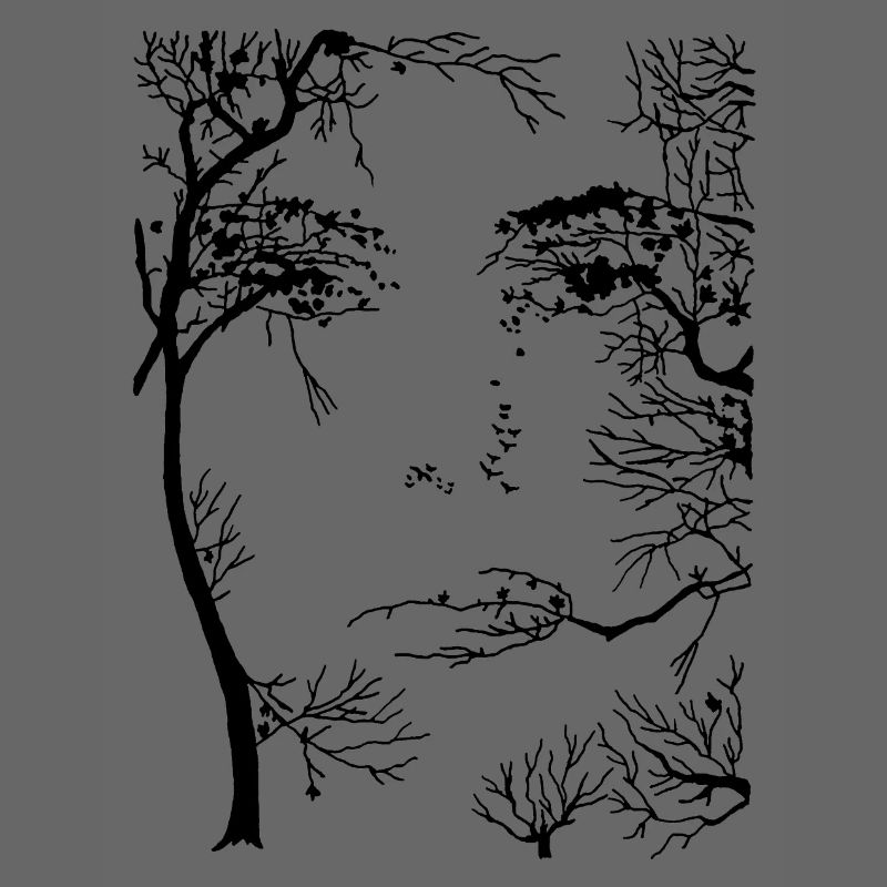 Le visage de la forêt (noir)