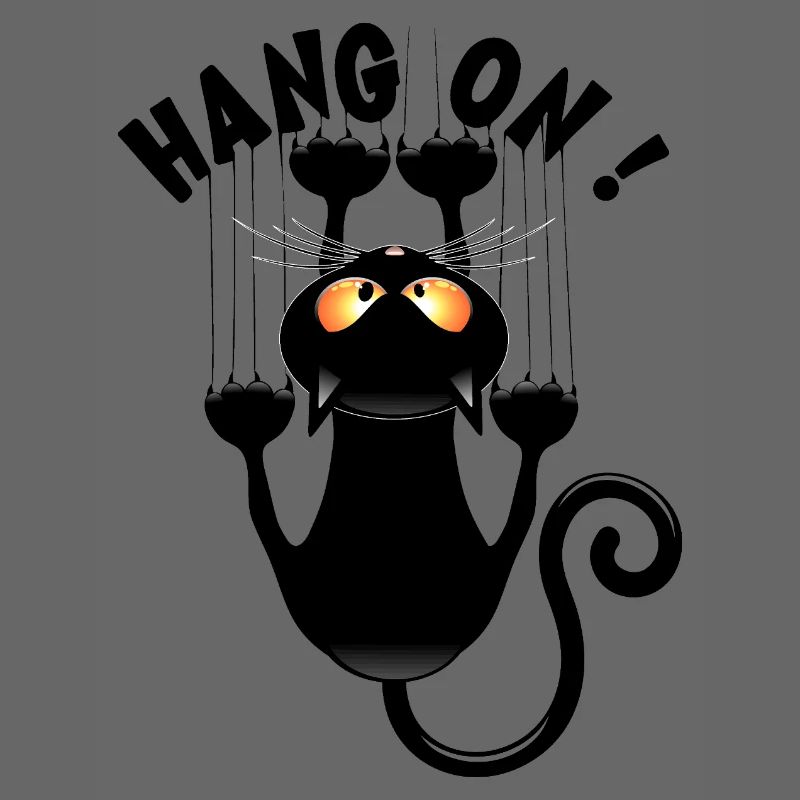 "HANG ON !" Funny Cat Meme Hanging on