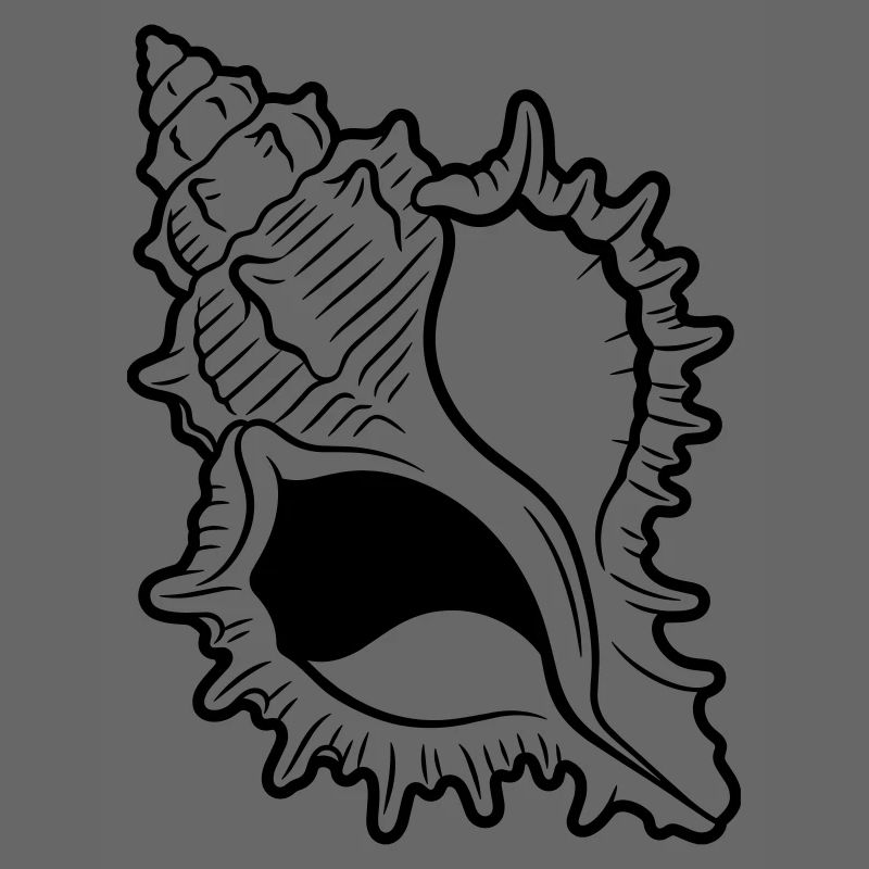 coquille