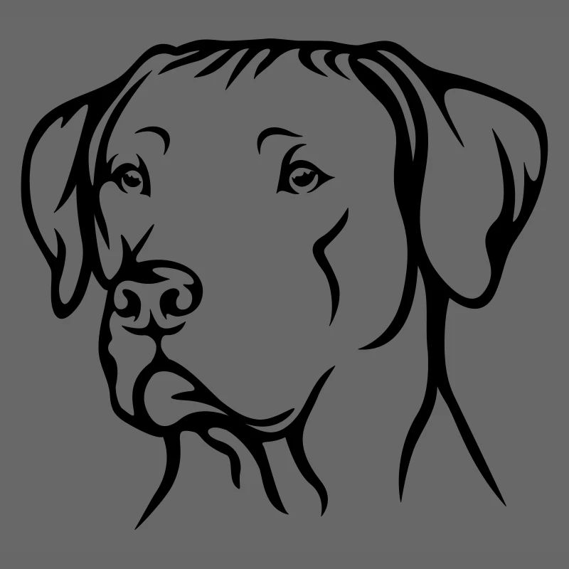 Rhodesian Ridgeback