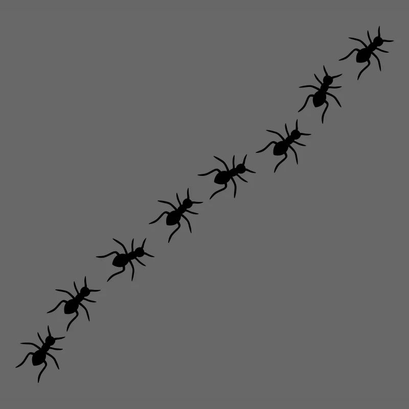 Ants