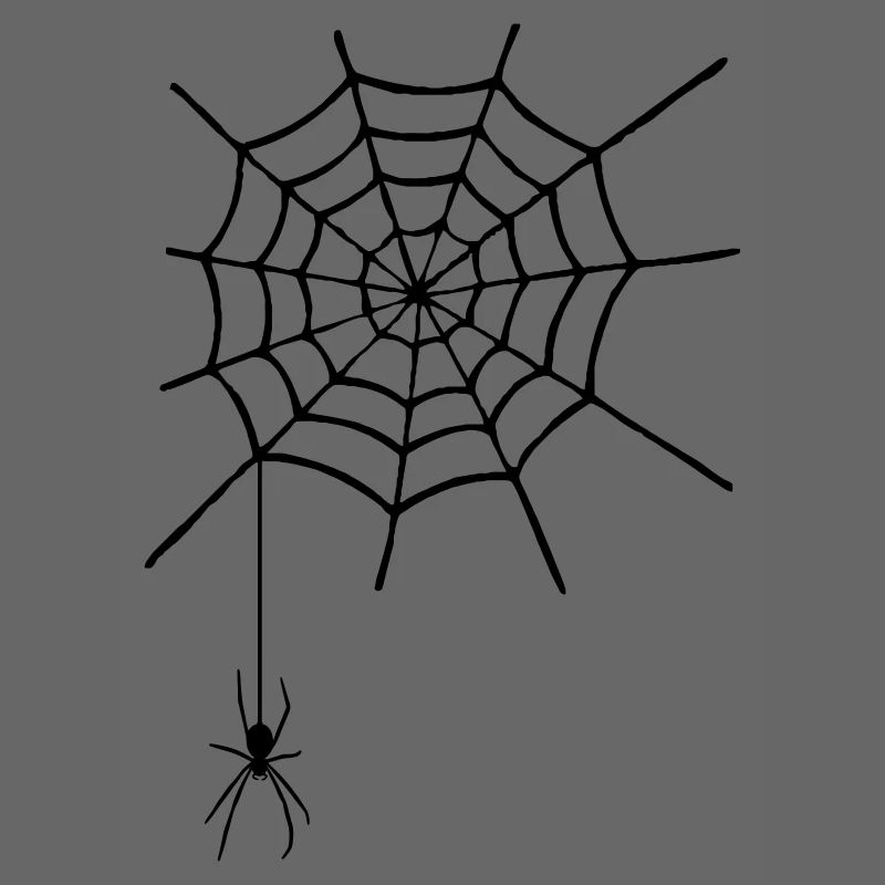 Spinnennetz mit Spinne