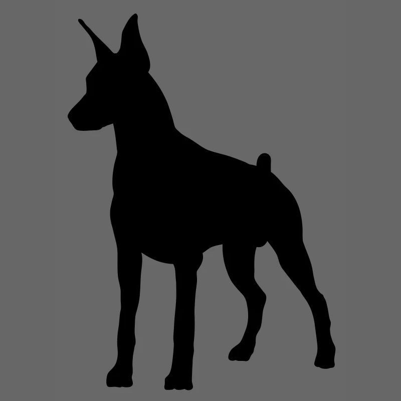 Doberman Pincher