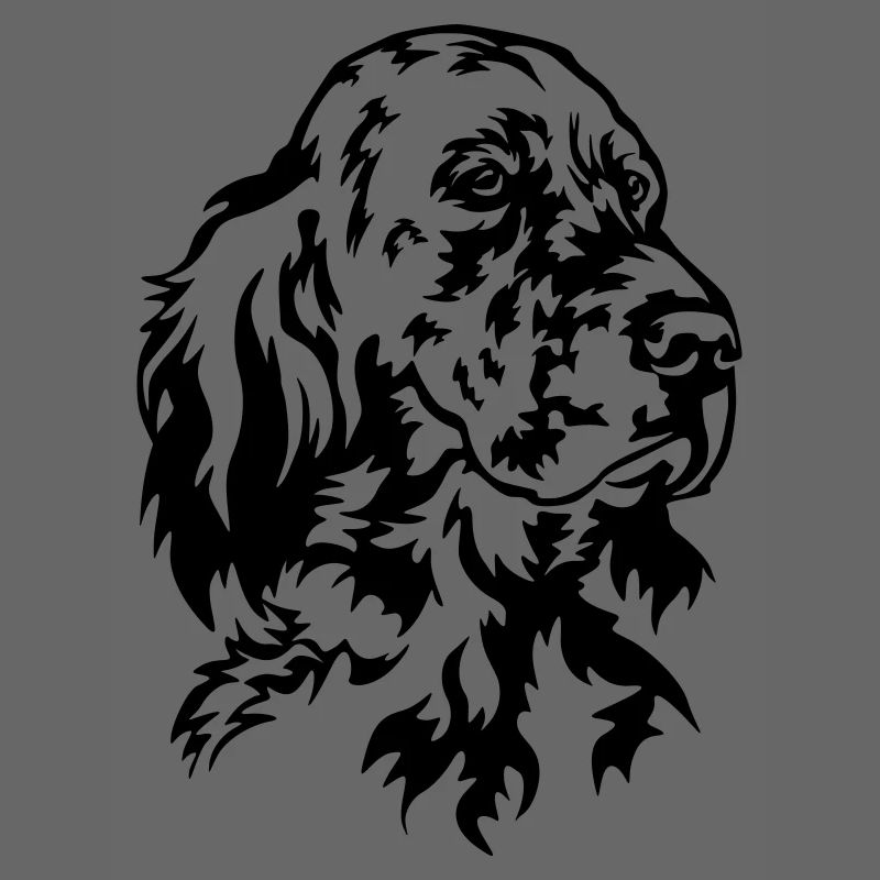Englischer Setter Kopf