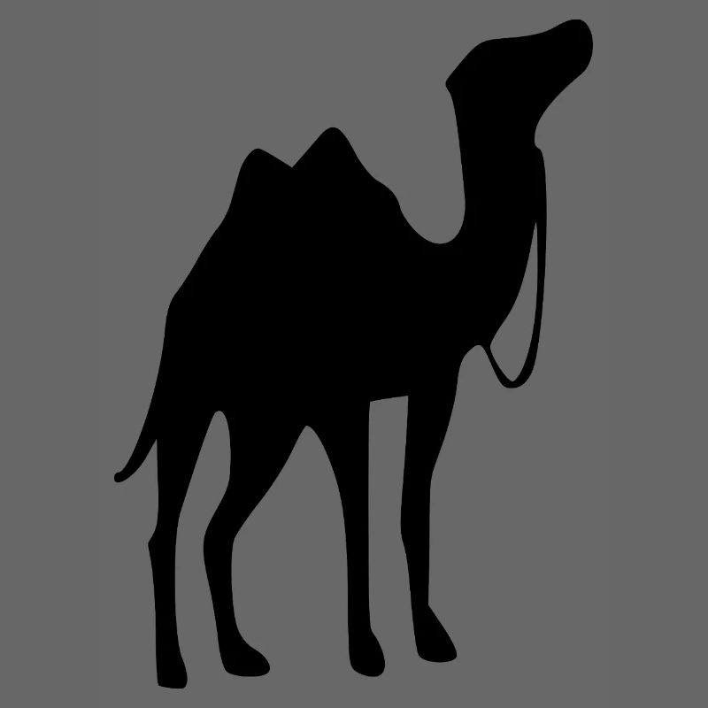 Kamel T-shirt Geschenk