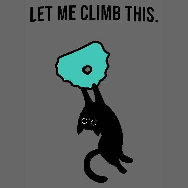 Boulder cat holds on to climbing hold