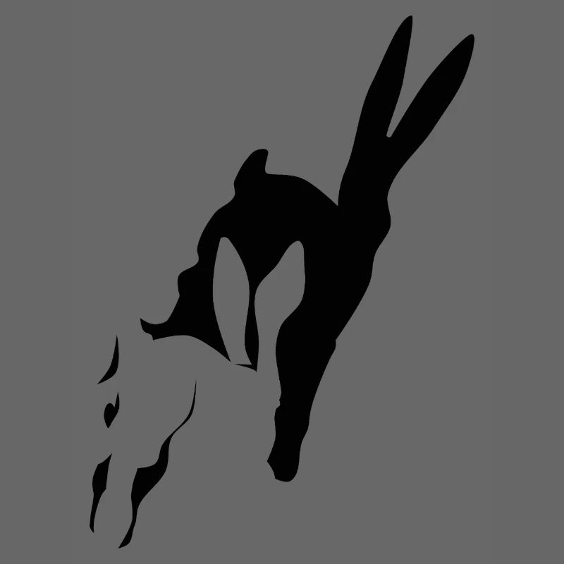 Bunny runs shadow bunny Easter bunny rabbit hop