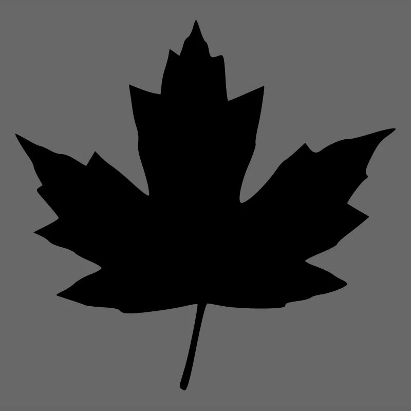 feuille d'érable