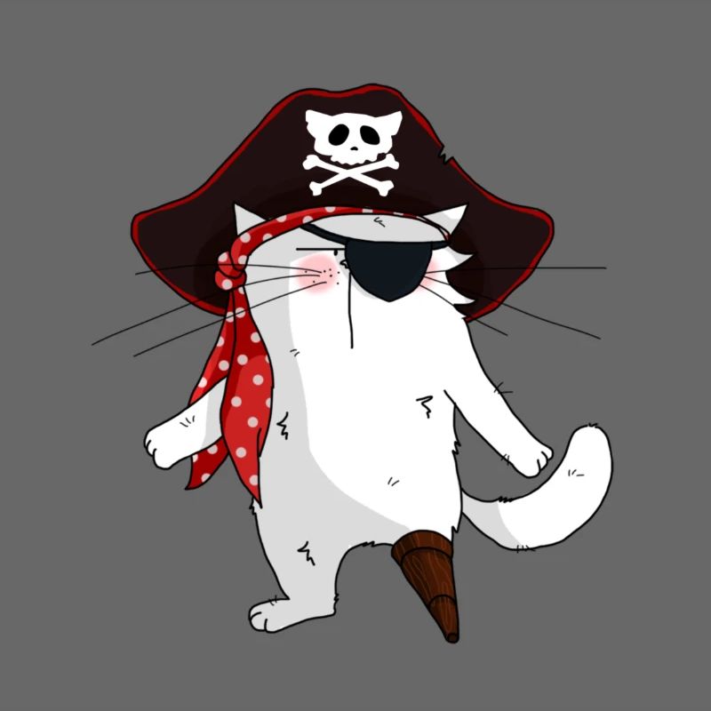 Chat Pirate