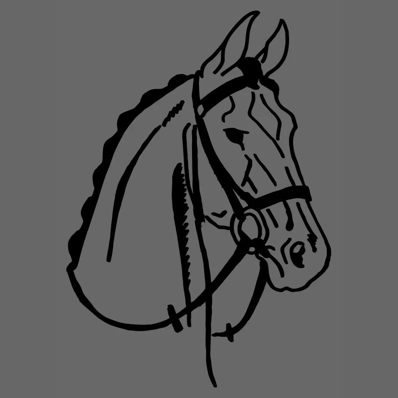 Cheval de selle