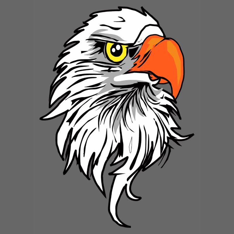 Eagle comic