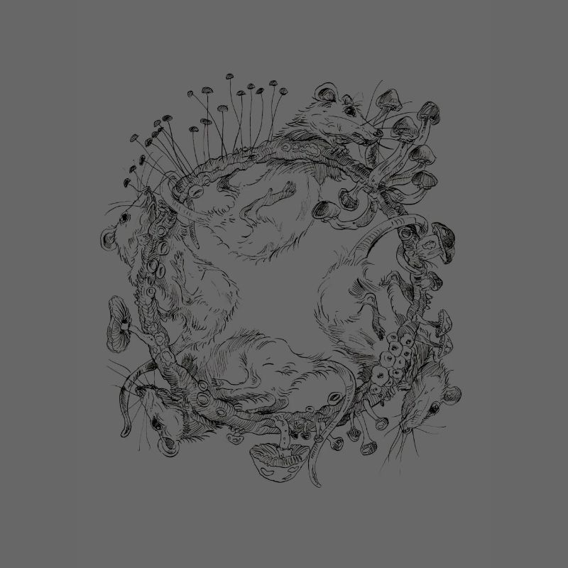 course de rat / course de rat / champignons