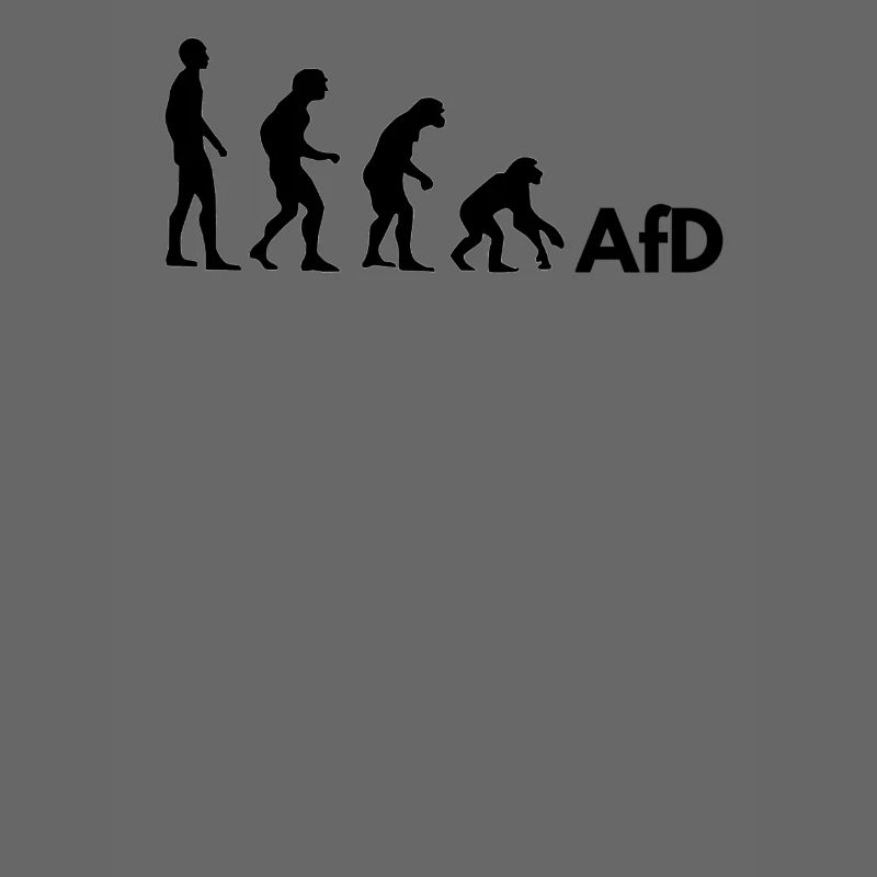 AfD Evolution