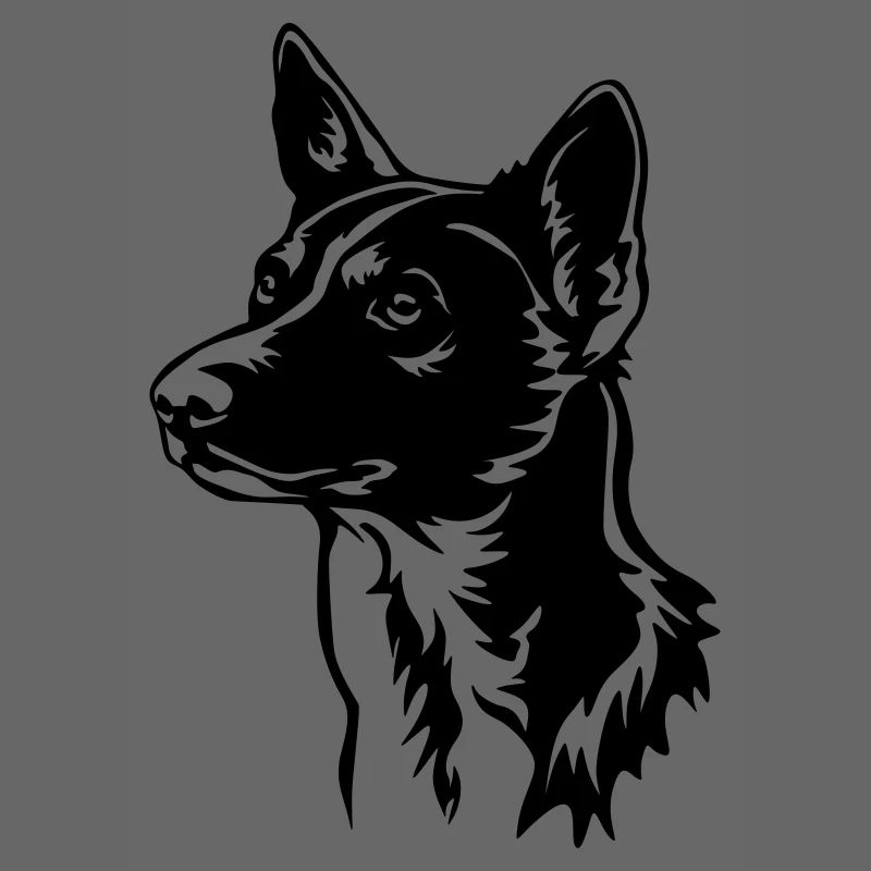 Basenji Kopf