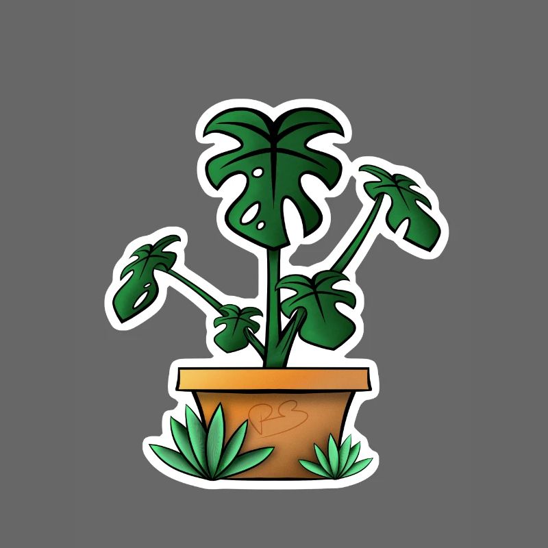 Monstera!