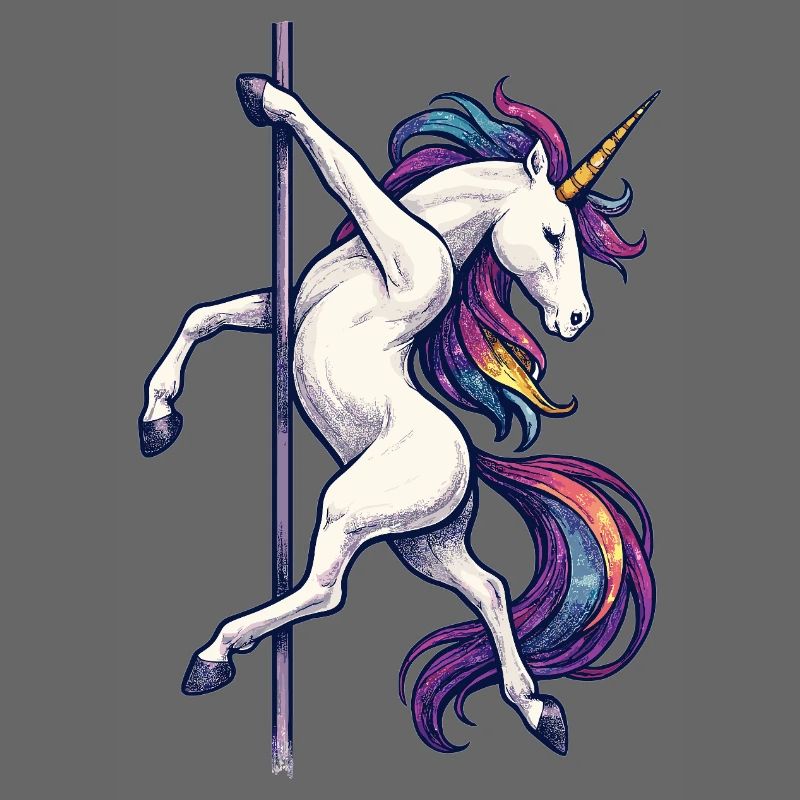 Pole Dance Licorne Pole Dancer Pole Gift