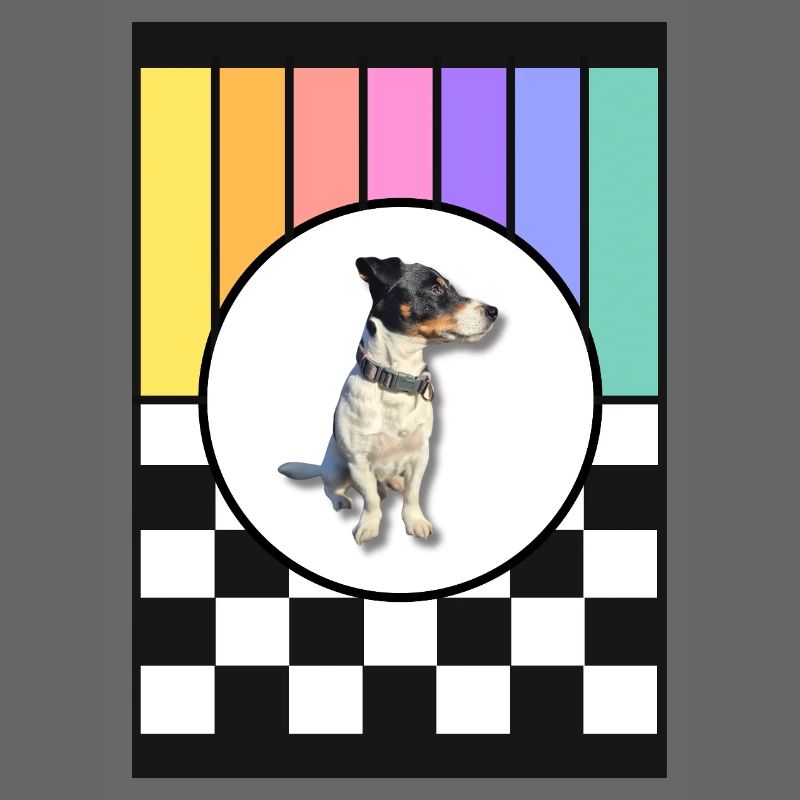 Hund im Regenbogenrahmen