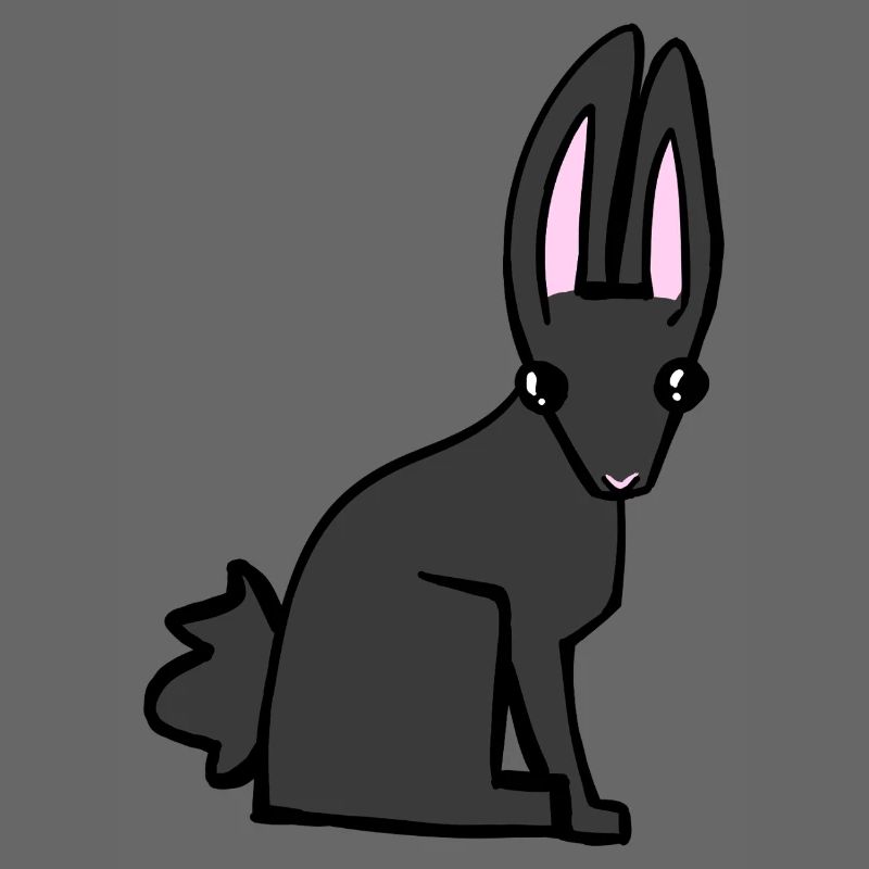 Lapin noir