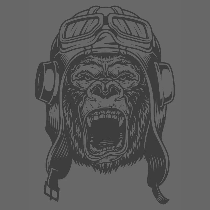 Conception du pilote Gorilla