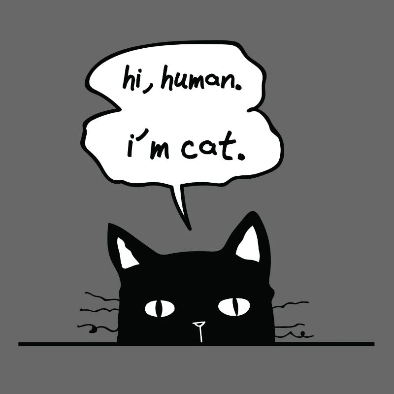 amants de chat