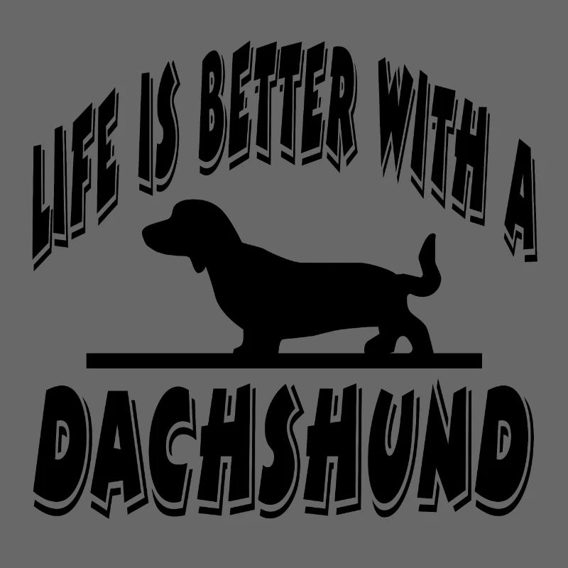 Dachshund