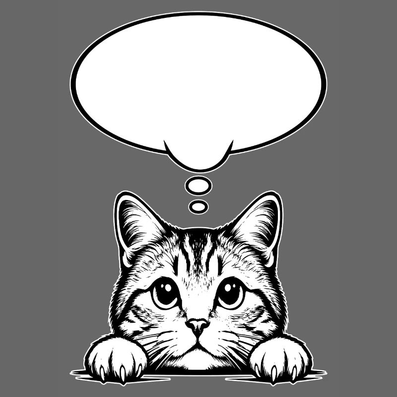 Bulle de dialogue du chat écossais Straigh