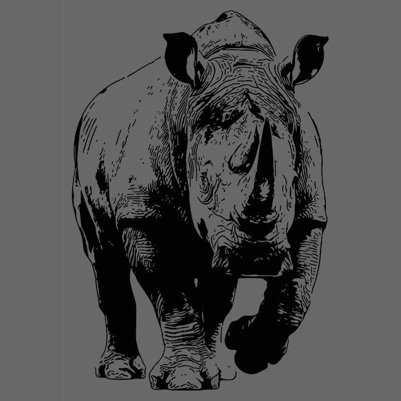 Nashorn