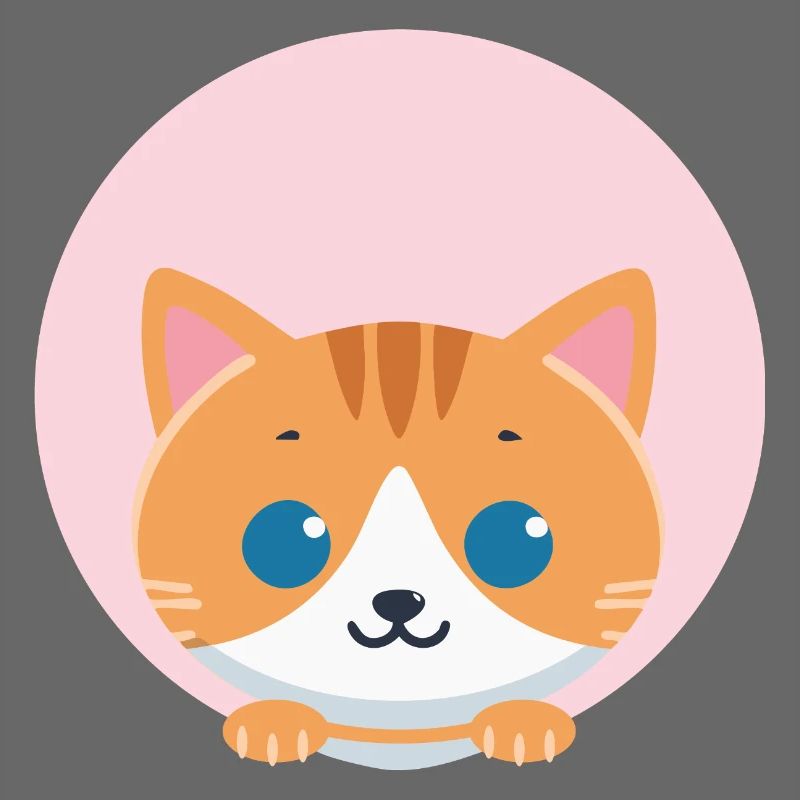 Orangene Katze