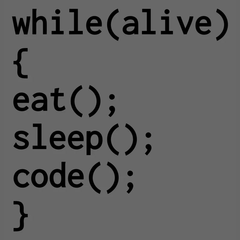 Developer Entwickler Développeur Computer Geek