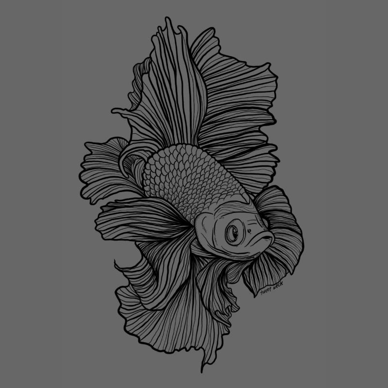 Betta Poisson